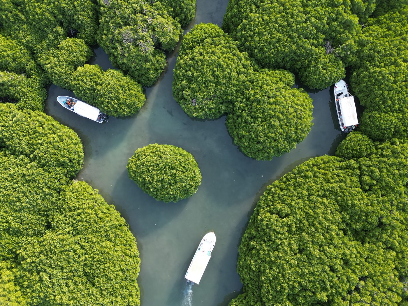 رحلة الجنوب السعودي